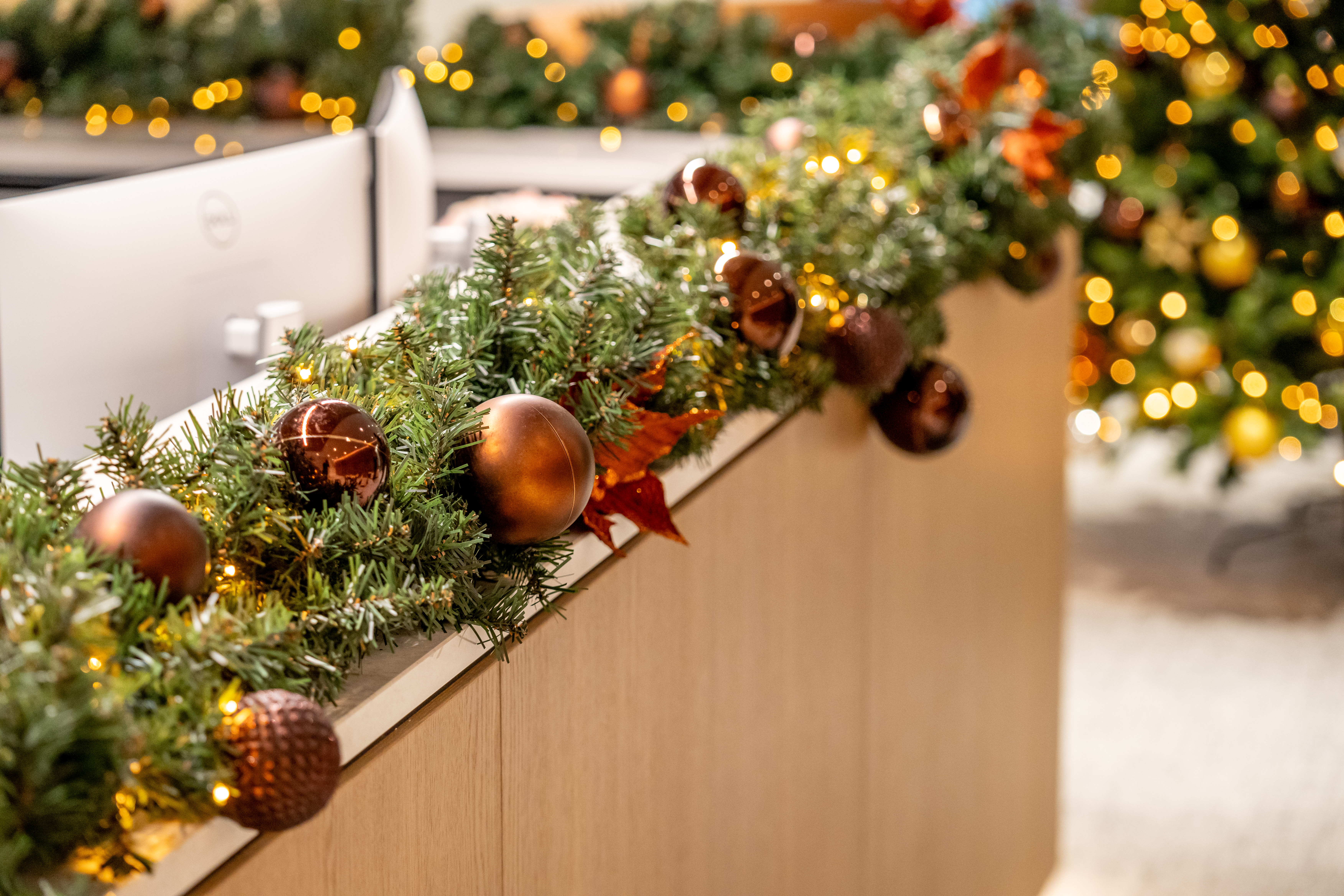 Krinkels-Greenattheoffice-Brussel-47