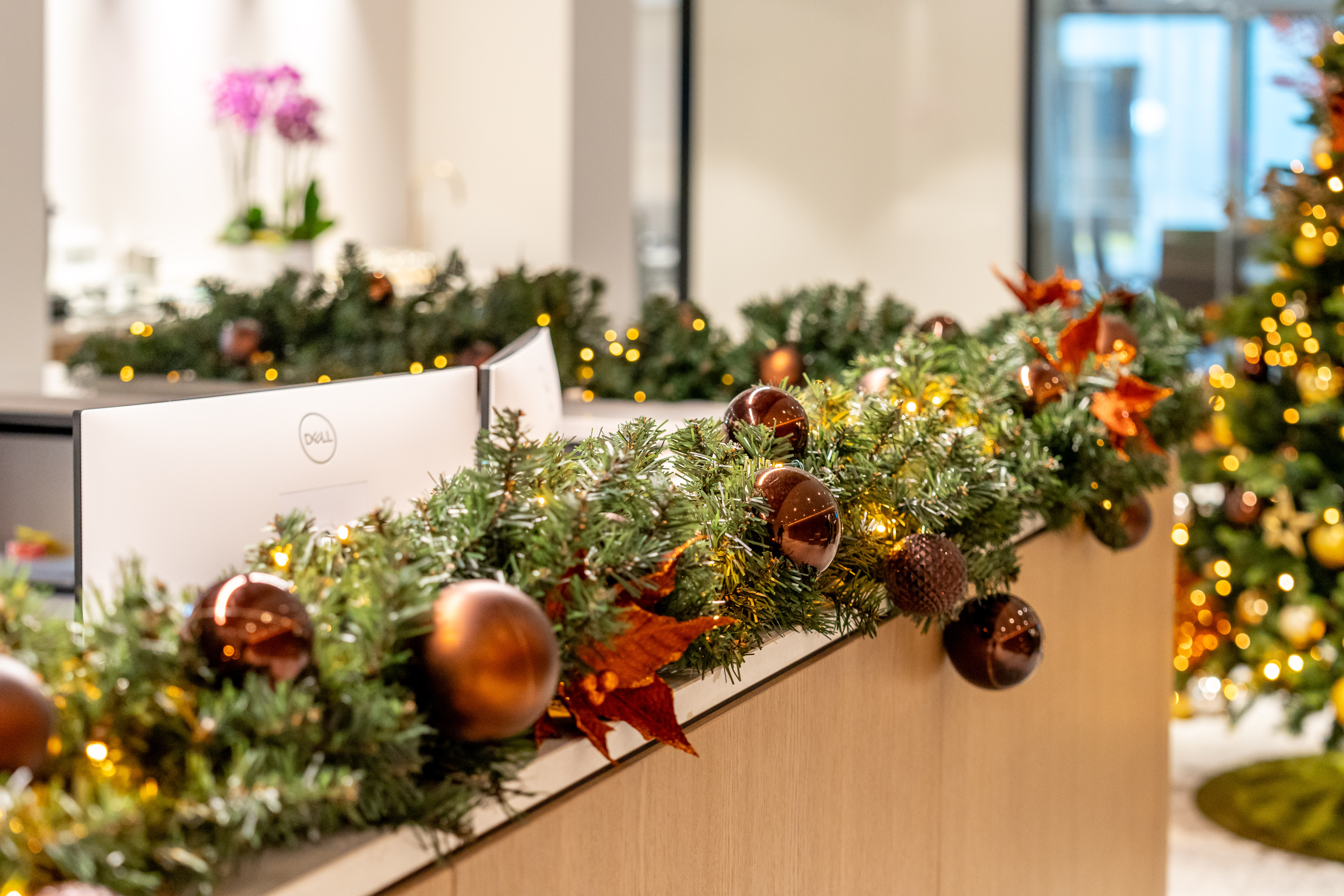 Krinkels-Greenattheoffice-Brussel-52