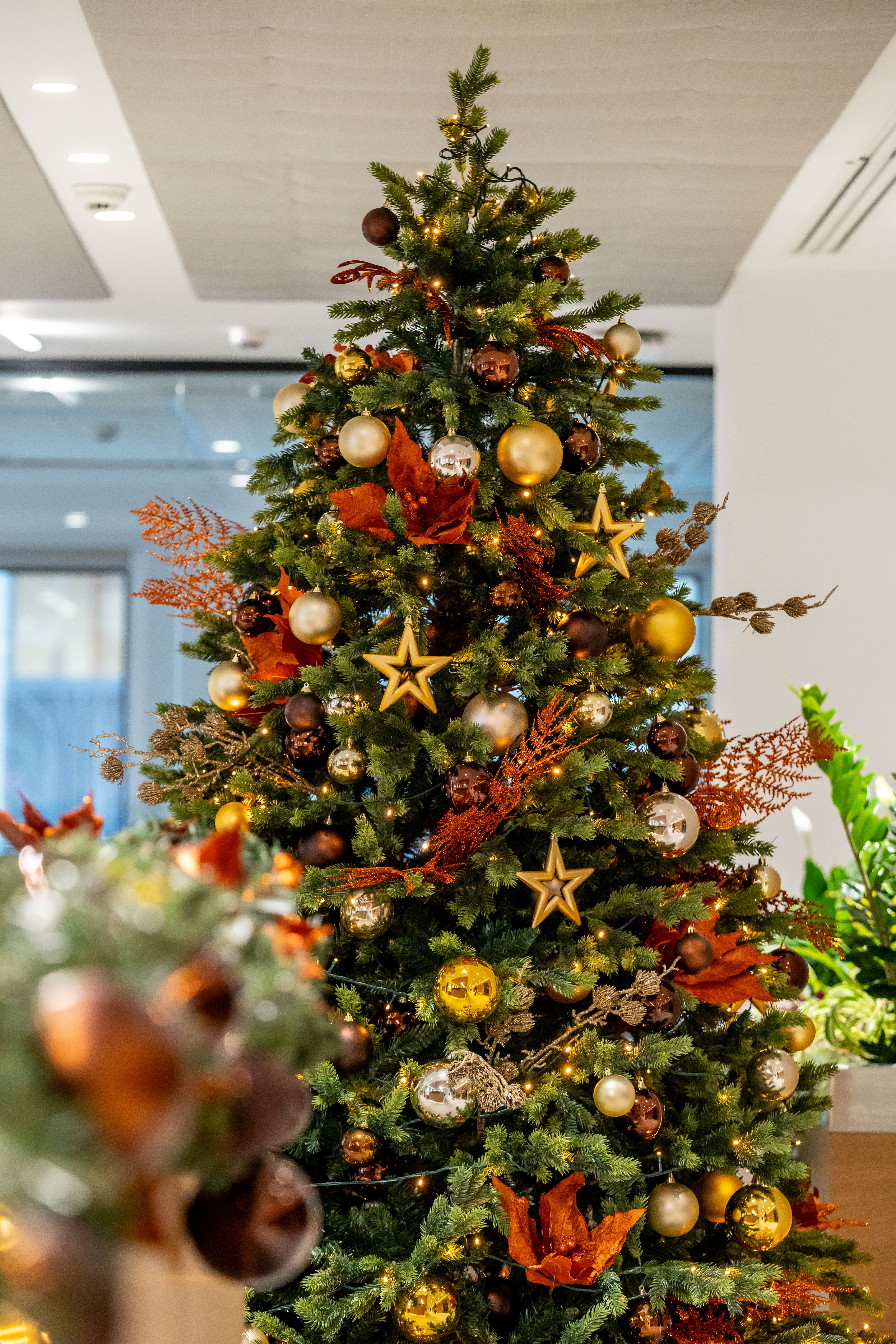 Krinkels-Greenattheoffice-Brussel-61